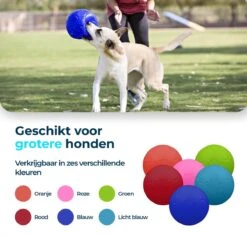 Jolly Pets Jolly Soccer Ball – Hondenspeelgoed – Hondenspeeltjes Voor Binnen En Buiten – Hondenbal Voor Honden – Hondenvoetbal – Jollyflex Stevig Kunststof – Drijvend Hondenspeeltje – Ø20cm – Licht Blauw -Hondenbenodigdheden Korting 1200x1142 18