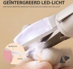 PETKIT® Professionele Dieren Nagelknipper - Nagelknipper Hond - Met LED - Met Vijl - Nageltang -Hondenbenodigdheden Korting 1200x1143 9