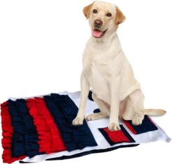 Merkloos Go Quality Honden Speelgoed - Snuffelmat - Snuffelmat Hond - Hondenspeeltjes - Puppy Speelgoed - Honden Speelgoed Intelligentie