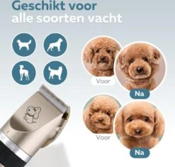 BYER Professionele Dieren Tondeuse Set - Voor Huisdieren Katten & Honden - Draadloos - Oplaadbare Pet Trimmer - Dog Tondeuze Clipper - 5 Standen & Vier Opzetkammen - Low Noise 12 BYER Professionele Dieren Tondeuse Set - Voor Huisdieren Katten & Honden - Draadloos - Oplaadbare Pet Trimmer - Dog Tondeuze Clipper - 5 Standen & Vier Opzetkammen - Low Noise -Hondenbenodigdheden Korting 1200x1144 4
