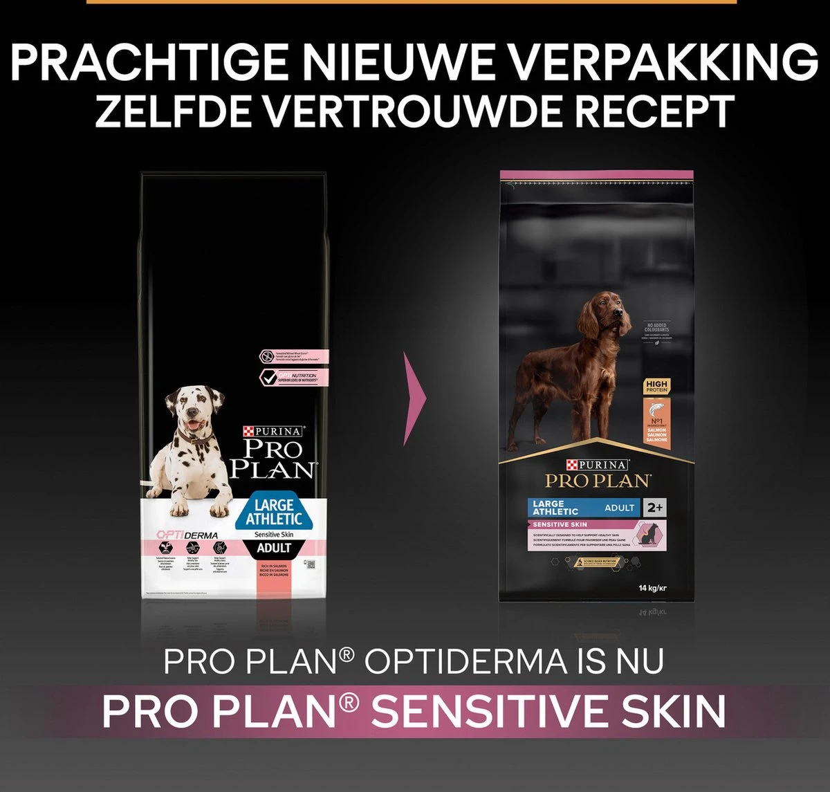 Pro Plan Large Atlethic Adult Sensitive Skin - Honden Droogvoer - Zalm - 14 Kg 5 Pro Plan Large Atlethic Adult Sensitive Skin - Honden Droogvoer - Zalm - 14 Kg - Afbeelding 5