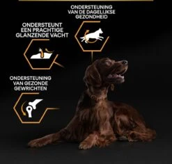 Pro Plan Everyday Nutrition Large Athletic Adult - Honden Droogvoer - Kip - 14 Kg -Hondenbenodigdheden Korting 1200x1146 14