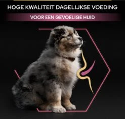 Pro Plan Medium Puppy Sensitive Skin - Honden Droogvoer - Zalm - 12 Kg 27 Pro Plan Medium Puppy Sensitive Skin - Honden Droogvoer - Zalm - 12 Kg -Hondenbenodigdheden Korting 1200x1146 2
