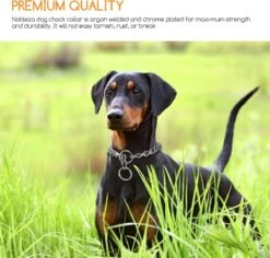 Nobleza Slipketting Hond - Sliphalsband - Trainingshalsband - Hondenketting - Maat L 8 Nobleza Slipketting Hond - Sliphalsband - Trainingshalsband - Hondenketting - Maat L -Hondenbenodigdheden Korting 1200x1146 24