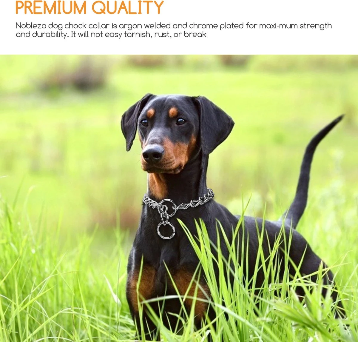 Nobleza Slipketting Hond - Sliphalsband - Trainingshalsband - Hondenketting - Maat L 3 Nobleza Slipketting Hond - Sliphalsband - Trainingshalsband - Hondenketting - Maat L - Afbeelding 3