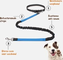 Hardloopriem Hond – Honden Riem Handsfree – Hardlopen Met Hond – 160-260 Cm Blauw - Hardloopband Hond – Halsband Hond – Hondenlijn – Leiband Hond 15 Hardloopriem Hond – Honden Riem Handsfree – Hardlopen Met Hond – 160-260 Cm Blauw - Hardloopband Hond – Halsband Hond – Hondenlijn – Leiband Hond -Hondenbenodigdheden Korting 1200x1146 27