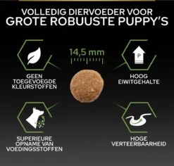 Pro Plan Healthy Start Puppy Large Robust - Honden Droogvoer - Kip - 12 Kg -Hondenbenodigdheden Korting 1200x1146 3