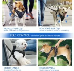 Nobleza 42ZHW - Hondenharnas - Hondentuigje - Anti Trek - S - Zwart -Hondenbenodigdheden Korting 1200x1146 38