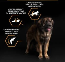 Pro Plan Everyday Nutrition Large Robust Adult - Honden Droogvoer - Kip - 14 Kg -Hondenbenodigdheden Korting 1200x1146 8
