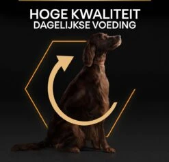 Pro Plan Everyday Nutrition Large Athletic Adult - Honden Droogvoer - Kip - 14 Kg -Hondenbenodigdheden Korting 1200x1147 1