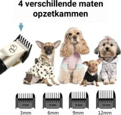 Merkloos Professionele Dierentondeuse - Scheerapparaat Voor Honden En Katten - Trimmer - 4 Opzetstukken - Oplaadbaar - Draadloos - Stil - Verschillende Haar En Vachtlengtes - Haartrimmer - Hondentrimmer - Honden Trimmer - Honden Knippen - Haren Knippen 15 Merkloos Professionele Dierentondeuse - Scheerapparaat Voor Honden En Katten - Trimmer - 4 Opzetstukken - Oplaadbaar - Draadloos - Stil - Verschillende Haar En Vachtlengtes - Haartrimmer - Hondentrimmer - Honden Trimmer - Honden Knippen - Haren Knippen -Hondenbenodigdheden Korting 1200x1148 1