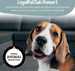 Loyalpetclub® Professionele 2-in-1 Hondentondeuse Voor Dikke Vacht – Draadloze Honden Tondeuse & Hondentrimmer – Stille Tondeuse Katten & Honden Trimset - Inclusief Opbergtasje -Hondenbenodigdheden Korting 1200x1148 3