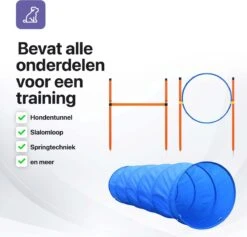 Tavaro Agility Voor De Hond - Honden Training - Hondentunnel - Springhoepel - Horde - Slalom - Honden Behendigheid Trainingsset -Hondenbenodigdheden Korting 1200x1150 19