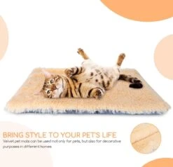 Nobleza Fluffy Benchkussen - Dierenkussen - Hondenkussen - Kattenkussen - Benchmat - Dierenmat - Hondenmat - Kattenmat - Crème - Maat L -Hondenbenodigdheden Korting 1200x1156 4