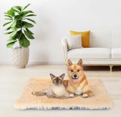 Nobleza Fluffy Benchkussen - Dierenkussen - Hondenkussen - Kattenkussen - Benchmat - Dierenmat - Hondenmat - Kattenmat - Crème - Maat L -Hondenbenodigdheden Korting 1200x1156 5