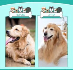 Nobleza 3 Delige Hondenborstel Set – Hondenkam - Kattenkam - Borstels – Dierverzorging - Dierenverzorging - Blauw -Hondenbenodigdheden Korting 1200x1157 1