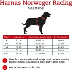 Hunter Harnas Norweger Racing - Hondentuig - Bruin/Cognac - M - 52-62 X 2.5 Cm -Hondenbenodigdheden Korting 1200x1158 12