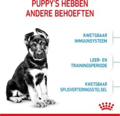 Royal Canin Maxi Puppy 4 KG -Hondenbenodigdheden Korting 1200x1158