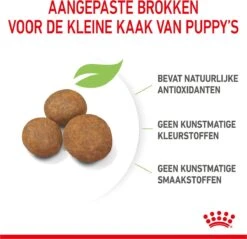 Royal Canin Maxi Puppy 4 KG -Hondenbenodigdheden Korting 1200x1159 1