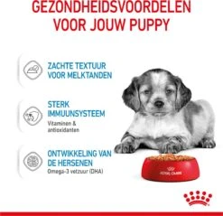 Royal Canin Shn Medium Puppy Pouch - Hondenvoer - 10 X 140 G -Hondenbenodigdheden Korting 1200x1159 16