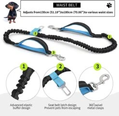 BOTC Looplijn Hond Met Heupriem Voor Hardlopen - Met Drinkbak Hond - Hondenriem - 1 Roll Poep Zakjes - Zwart 19 BOTC Looplijn Hond Met Heupriem Voor Hardlopen - Met Drinkbak Hond - Hondenriem - 1 Roll Poep Zakjes - Zwart -Hondenbenodigdheden Korting 1200x1159 37