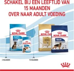 Royal Canin Maxi Puppy 4 KG -Hondenbenodigdheden Korting 1200x1159 6
