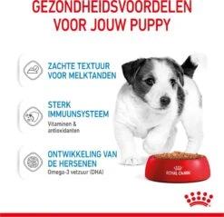 Royal Canin Shn Mini Puppy Pouch - Hondennatvoer - 12 X 85 G -Hondenbenodigdheden Korting 1200x1159 8