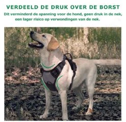 Mister Mill Hondentuigje 2x Klikgesp Maat M Grijs - Anti-Trek Tuig Hondenharnas - Y Tuig Hond Reflecterend -Hondenbenodigdheden Korting 1200x1160 13