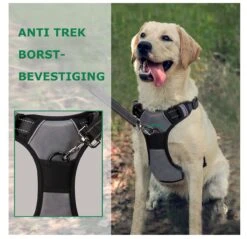 Mister Mill Hondentuigje 2x Klikgesp Maat XL Grijs - Anti-Trek Tuig Hondenharnas - Y Tuig Hond Reflecterend -Hondenbenodigdheden Korting 1200x1160 15