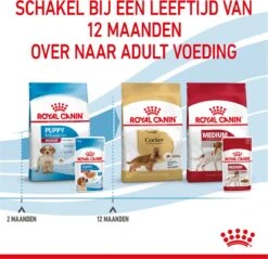 Royal Canin Shn Medium Puppy Pouch - Hondenvoer - 10 X 140 G -Hondenbenodigdheden Korting 1200x1160 2