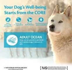Wellness Core Grain Free Dog Ocean Zalm&Tonijn - Hondenvoer - 10 Kg -Hondenbenodigdheden Korting 1200x1160