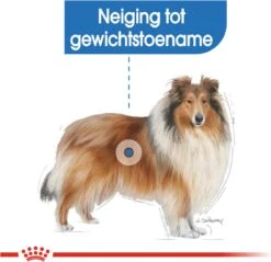 Royal Canin Light Weight Care Maxi - Hondenvoer - 12 Kg 17 Royal Canin Light Weight Care Maxi - Hondenvoer - 12 Kg -Hondenbenodigdheden Korting 1200x1161
