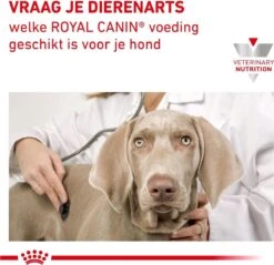 Royal Canin Anallergenic - Hondenvoer - 8 Kg 11 Royal Canin Anallergenic - Hondenvoer - 8 Kg -Hondenbenodigdheden Korting 1200x1161 3
