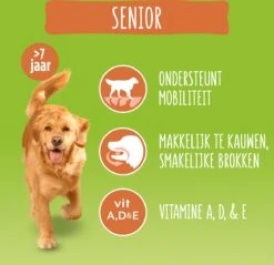 Bonzo Droog Senior - Hondenvoer Kip & Groenten - 15 Kg -Hondenbenodigdheden Korting 1200x1162