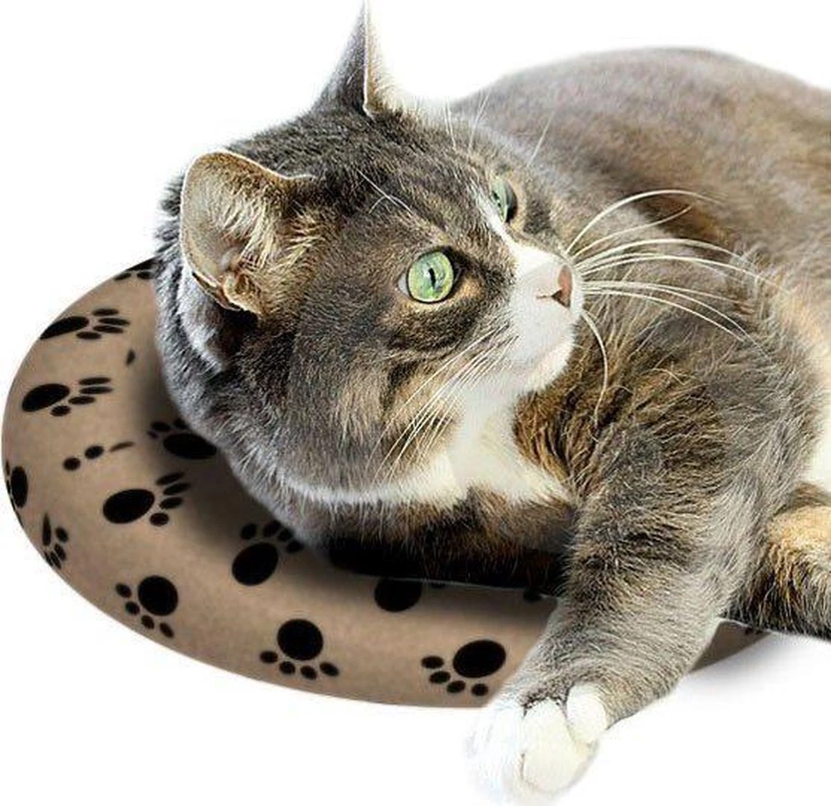 Snugglesafe Warmteschijf Hond/Kat - 24 Cm 2 Snugglesafe Warmteschijf Hond/Kat - 24 Cm - Afbeelding 2