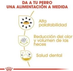 Royal Canin Chihuahua 3 KG 22 Royal Canin Chihuahua 3 KG -Hondenbenodigdheden Korting 1200x1164 1