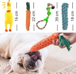 (Goedkoopste) Honden Speelgoed Set 15 Stuks Geschikt Voor Puppy's T/m Middelgrote Honden - Honden Kauw Speelgoed - 15 Stuks - Hondenspeeltjes - Intelligentie - Touw - Flostouw - Bijtring - Bal - Huisdieren Speelgoed -Hondenbenodigdheden Korting 1200x1165 18