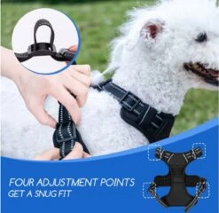 Nobleza 42ZHY - Hondenharnas - Hondentuigje - Anti Trek - L - Zwart 12 Nobleza 42ZHY - Hondenharnas - Hondentuigje - Anti Trek - L - Zwart -Hondenbenodigdheden Korting 1200x1166 19