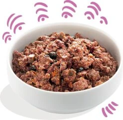 Edgard & Cooper Wild & Eend Blik - Voor Volwassen Honden - Hondenvoer - 12 X 400g -Hondenbenodigdheden Korting 1200x1166 2