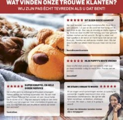 Vulpes Pets® Knuffel Hond Met Hartslag – Puppyknuffel - Hondenknuffel Voor Puppy - Snuggle Puppy - Knuffel Met Hartslag En Gratis Warmte Pad Speciaal Voor Puppy's -Hondenbenodigdheden Korting 1200x1167 19