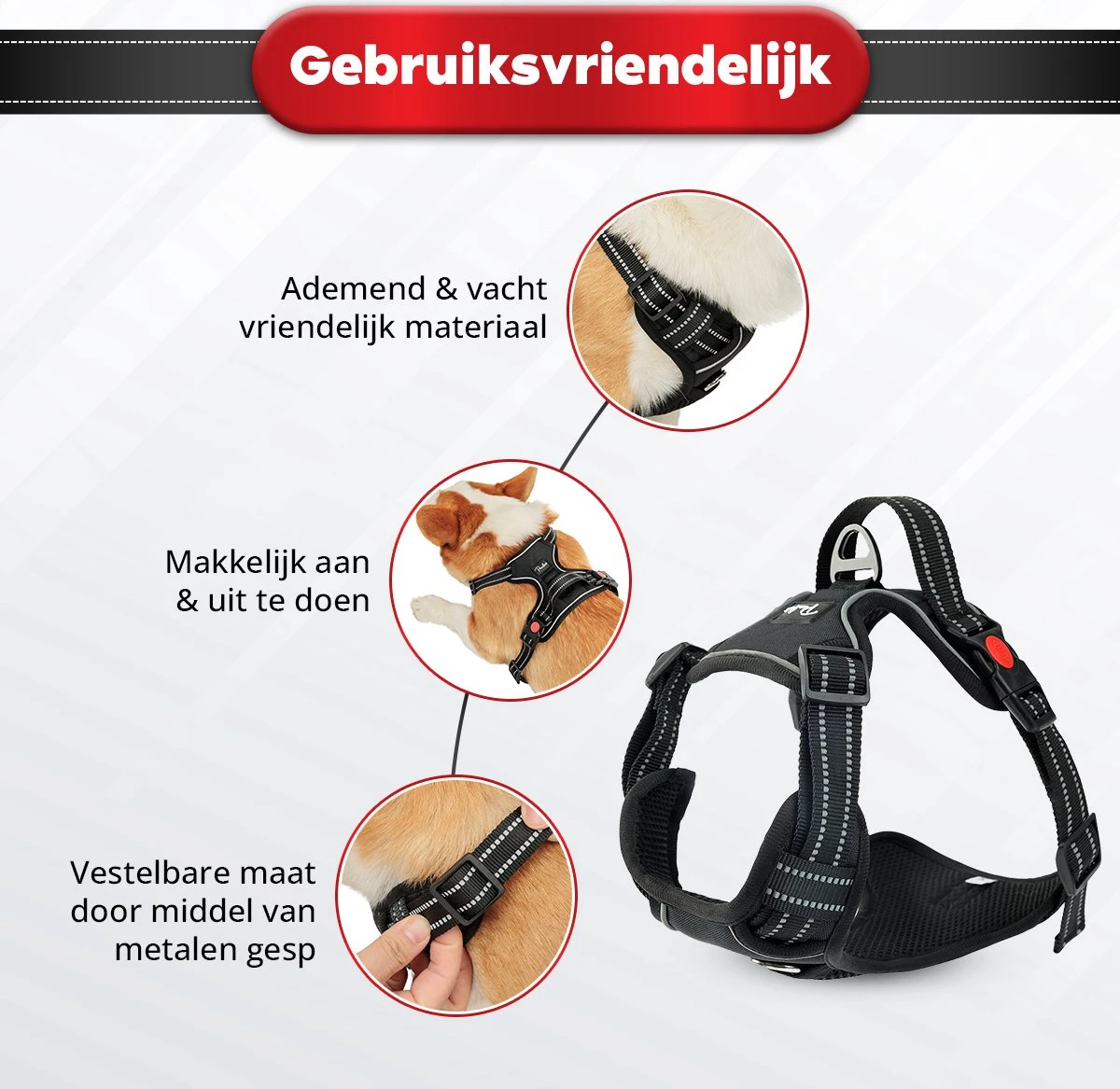 Purrr Fect Hondentuigje - Anti-Trek Tuig - Hondenharnas - Y Tuig Hond - Waterproof - Reflecterend - Verstelbaar - Maat L 5 Purrr Fect Hondentuigje - Anti-Trek Tuig - Hondenharnas - Y Tuig Hond - Waterproof - Reflecterend - Verstelbaar - Maat L - Afbeelding 5