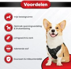 Purrr Fect Hondentuigje - Anti-Trek Tuig - Hondenharnas - Y Tuig Hond - Waterproof - Reflecterend - Verstelbaar - Maat L 14 Purrr Fect Hondentuigje - Anti-Trek Tuig - Hondenharnas - Y Tuig Hond - Waterproof - Reflecterend - Verstelbaar - Maat L -Hondenbenodigdheden Korting 1200x1167 32