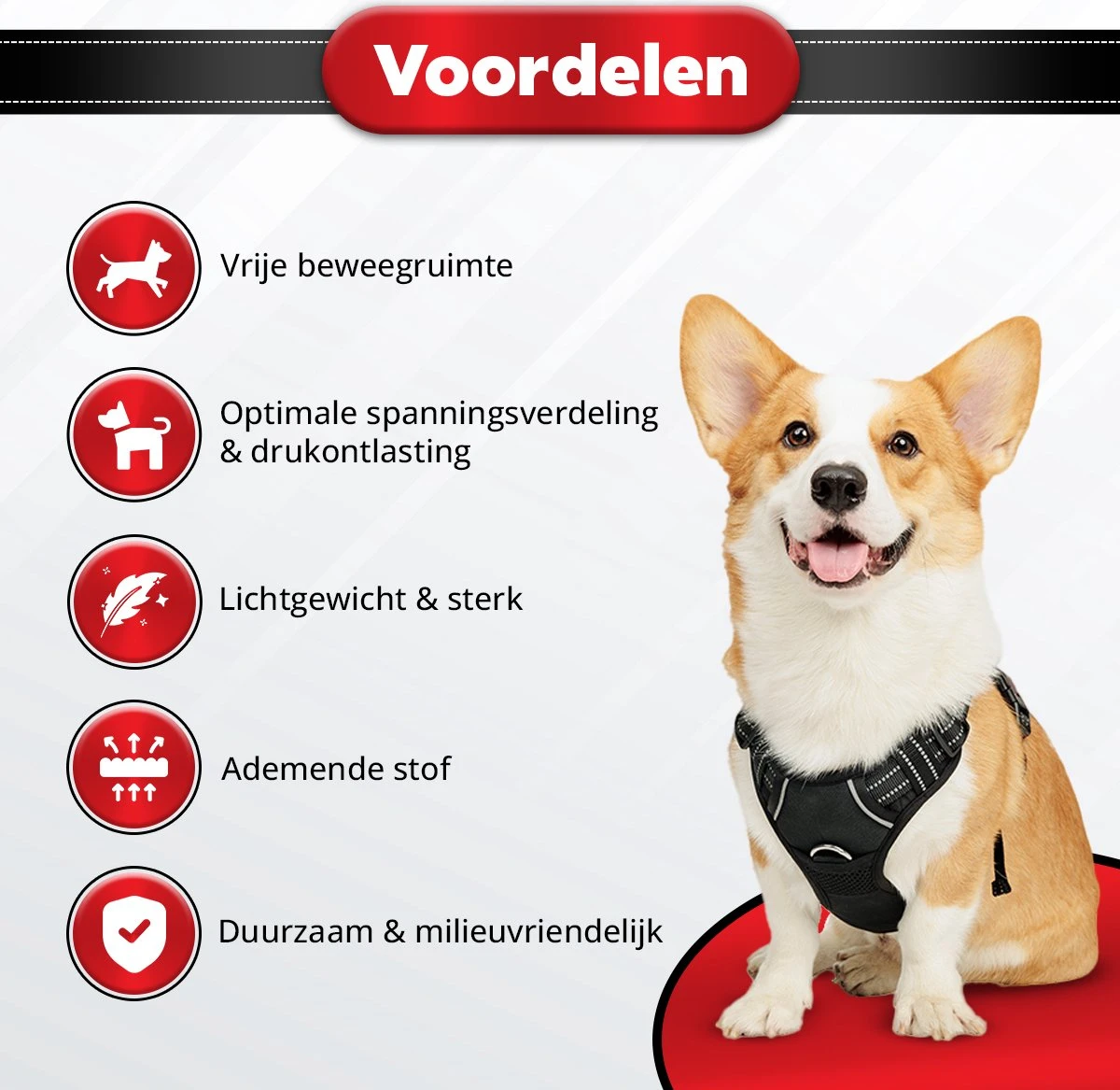 Purrr Fect Hondentuigje - Anti-Trek Tuig - Hondenharnas - Y Tuig Hond - Waterproof - Reflecterend - Verstelbaar - Maat L 6 Purrr Fect Hondentuigje - Anti-Trek Tuig - Hondenharnas - Y Tuig Hond - Waterproof - Reflecterend - Verstelbaar - Maat L - Afbeelding 6