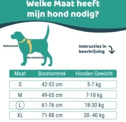 Mmoods Hondentuigje Grijs - Anti-Trek Tuig - Hondenharnas Voor Grote Honden- Reflecterende Halsband Hond - Hondenhalsband Maat L 12 Mmoods Hondentuigje Grijs - Anti-Trek Tuig - Hondenharnas Voor Grote Honden- Reflecterende Halsband Hond - Hondenhalsband Maat L -Hondenbenodigdheden Korting 1200x1167 34