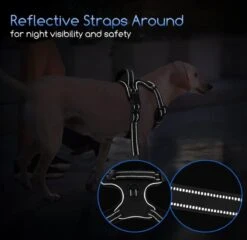 Nobleza 42ZHX - Hondenharnas - Hondentuigje - Anti Trek - M - Zwart 14 Nobleza 42ZHX - Hondenharnas - Hondentuigje - Anti Trek - M - Zwart -Hondenbenodigdheden Korting 1200x1167 45