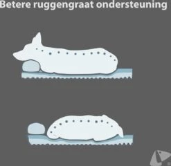 PETKIT® Deep Sleep Bed - Hondenmand - Kattenmand - Memory Foam - Orthopedisch - Maat M -Hondenbenodigdheden Korting 1200x1168 8