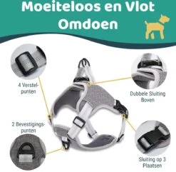 Mmoods Hondentuigje Grijs - Anti-Trek Tuig - Hondenharnas Voor Grote Honden- Reflecterende Halsband Hond - Hondenhalsband Maat L 11 Mmoods Hondentuigje Grijs - Anti-Trek Tuig - Hondenharnas Voor Grote Honden- Reflecterende Halsband Hond - Hondenhalsband Maat L -Hondenbenodigdheden Korting 1200x1169 13