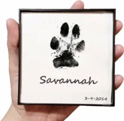 Merkloos Paw Print Pad - Pootafdruk Maken Van Hond Of Kat 11 Merkloos Paw Print Pad - Pootafdruk Maken Van Hond Of Kat -Hondenbenodigdheden Korting 1200x1169 7