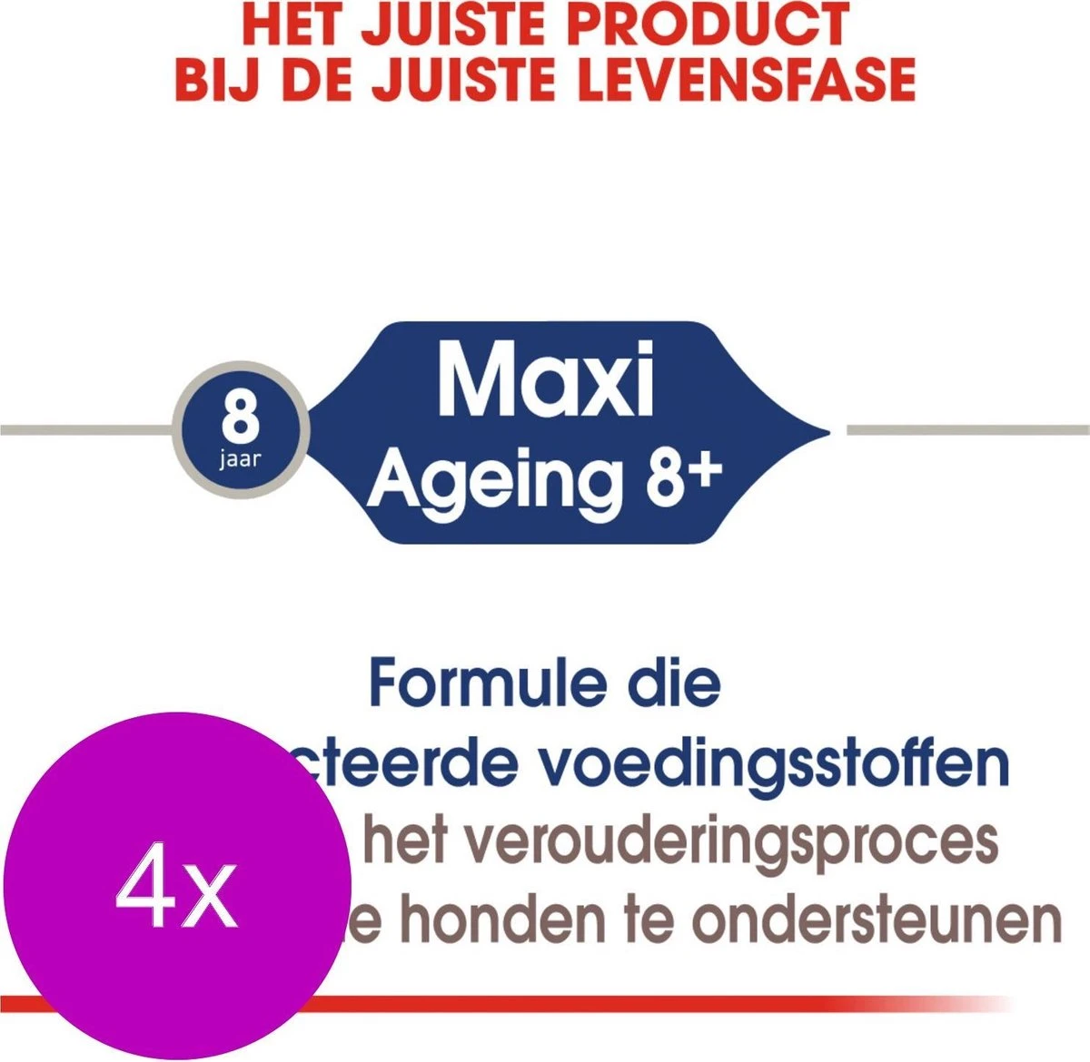 Royal Canin Shn Maxi Adult Pouch - Hondenvoer - 4 X 10 X 140 G 3 Royal Canin Shn Maxi Adult Pouch - Hondenvoer - 4 X 10 X 140 G - Afbeelding 3