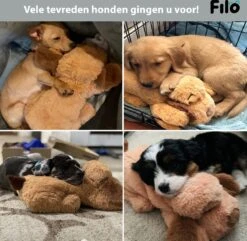 Filo Hondenknuffel Met Hartslag En Warmtebron - Hartslagknuffel Hondenspeelgoed Snuggle Puppy - Knuffel Met Hartslag - Heartbeat Knuffel Hond -Hondenbenodigdheden Korting 1200x1170 21